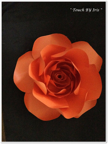 Medium Orange Rose